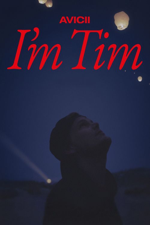 Avicii – Tôi là Tim (Avicii - I'm Tim) vietsub