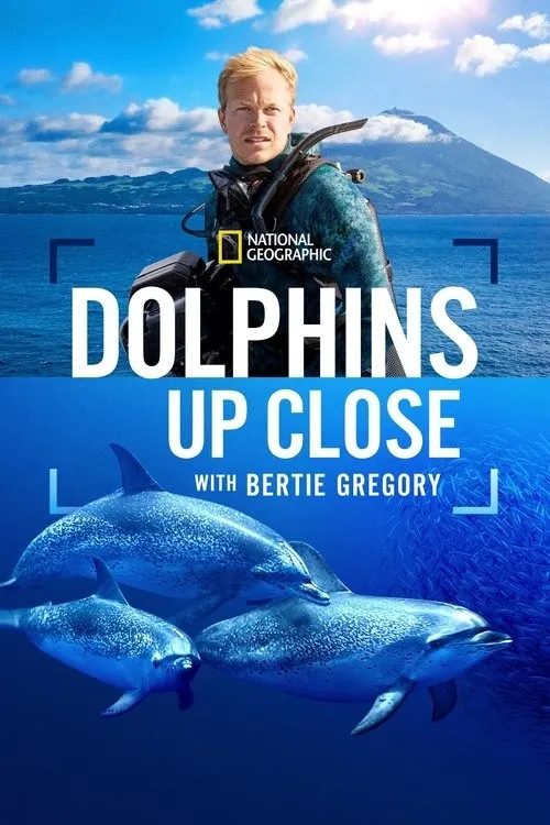 Cá Heo Gần Gũi Cùng Bertie Gregory (Dolphins Up Close with Bertie Gregory) vietsub