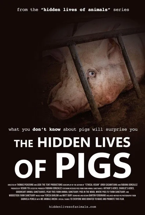 Cuộc Sống Bí Ẩn Của Lợn (The Hidden Lives of Pigs) vietsub