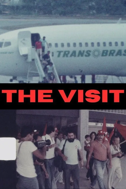 Cuộc Thăm (A Visita) vietsub
