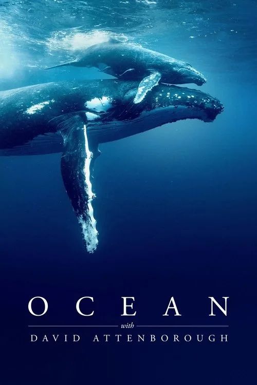 Đại dương cùng David Attenborough (Ocean with David Attenborough) vietsub