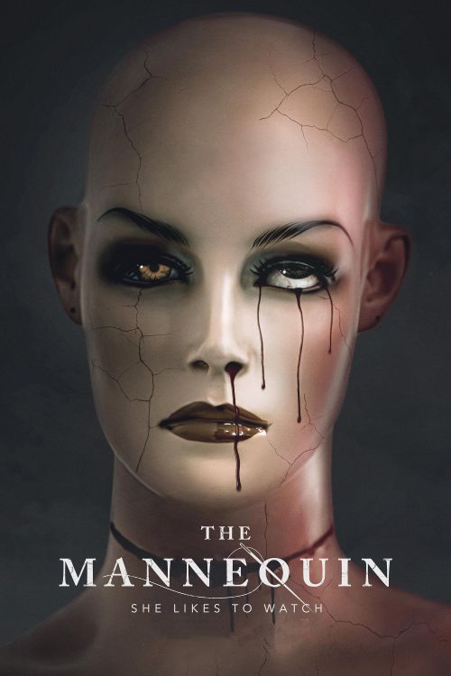 Điều Tra (The Mannequin) vietsub
