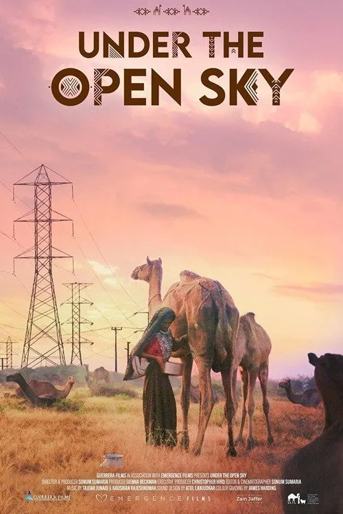 Dưới Bầu Trời Rộng Mở (Under the Open Sky) vietsub