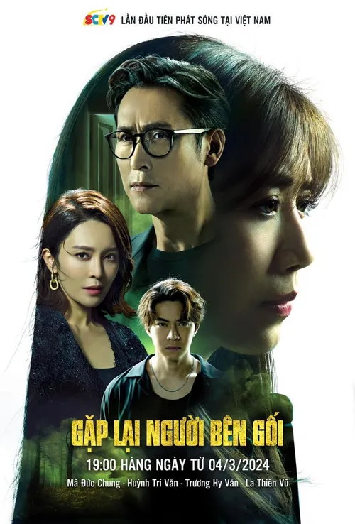 Gặp lại người bên gối (In Bed With A Stranger - 再见·枕边人) vietsub