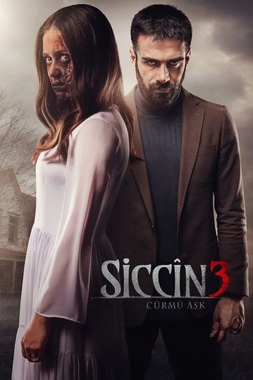 Lời Nguyền Sijjin 3 (Sijjin 3: The Forbidden Love) vietsub