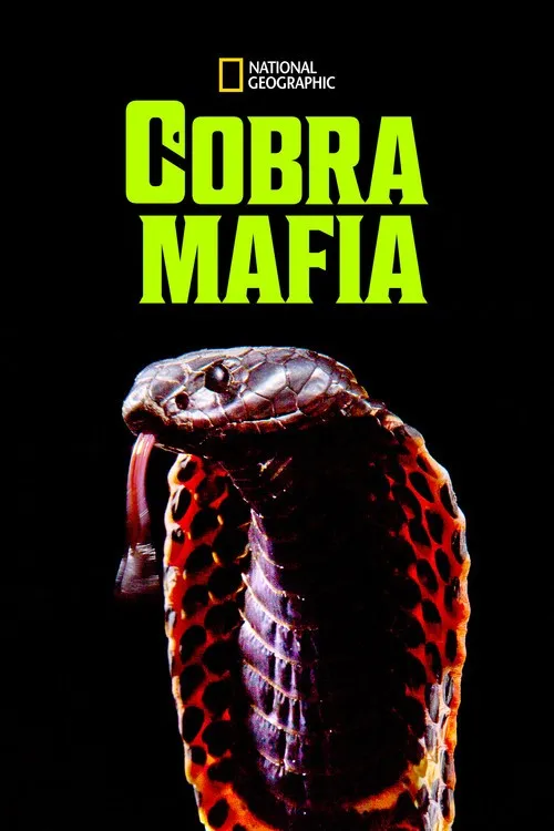 Mafia Rắn Hổ Mang (Cobra Mafia) vietsub
