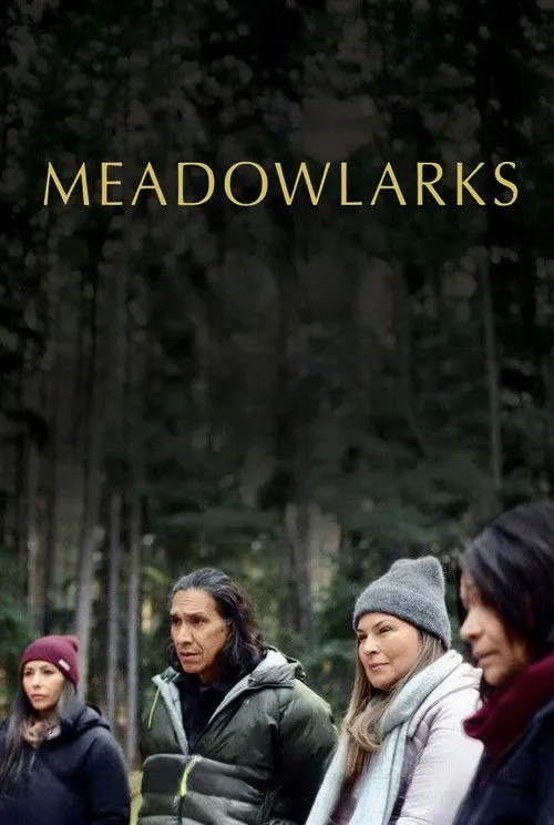 Meadowlarks vietsub