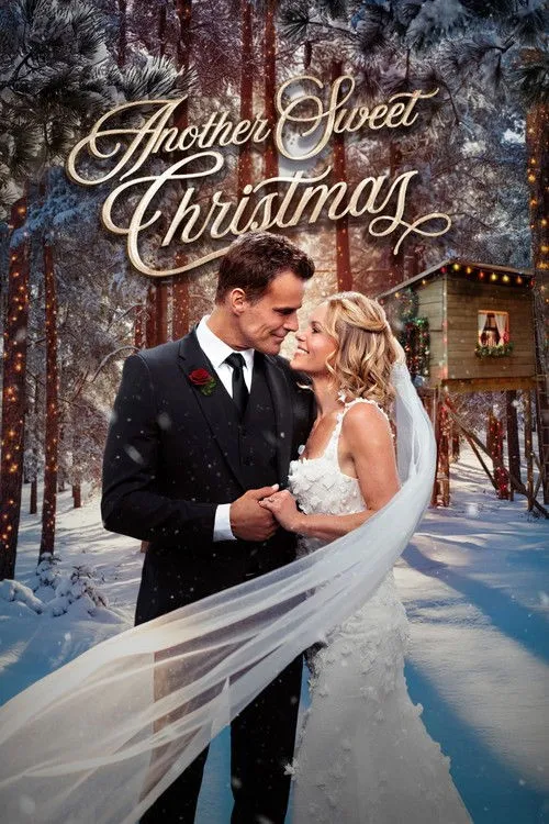 Một Giáng Sinh Ngọt Ngào Khác (Another Sweet Christmas) vietsub