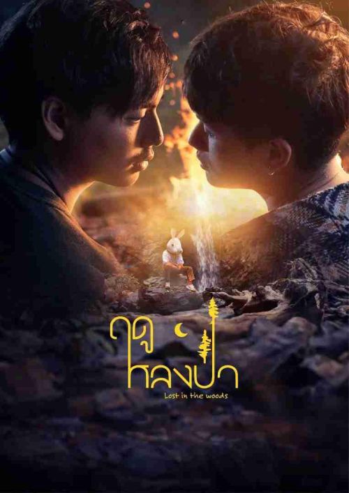 Mùa Lạc Trong Rừng (Lost in the Woods) vietsub