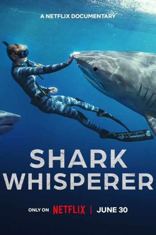 Người Bạn Của Cá Mập (Shark Whisperer) vietsub