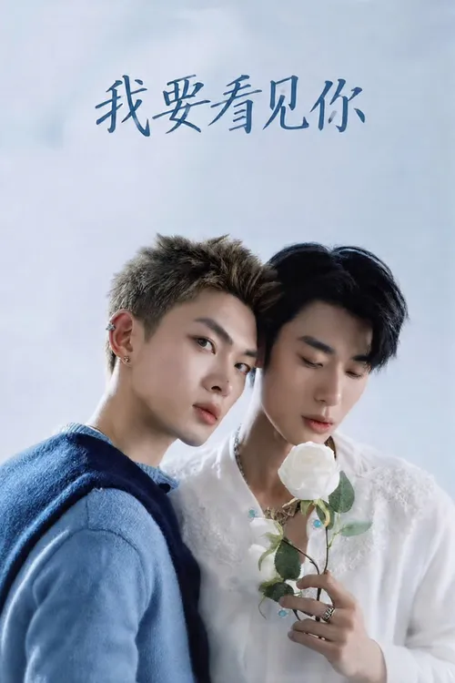 Tôi Muốn Gặp Cậu (Till I See You) vietsub