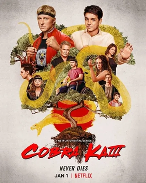 Võ Đường Cobra Kai (Phần 3) (Cobra Kai (Season 3)) vietsub